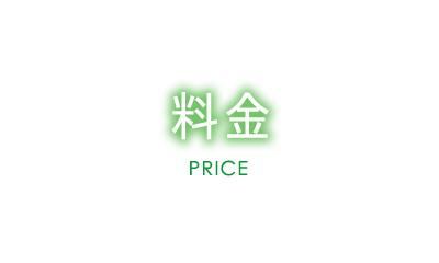 price_main_text